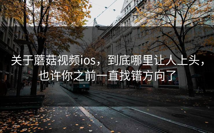 关于蘑菇视频ios，到底哪里让人上头，也许你之前一直找错方向了