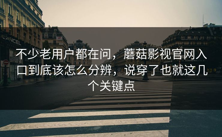 不少老用户都在问，蘑菇影视官网入口到底该怎么分辨，说穿了也就这几个关键点