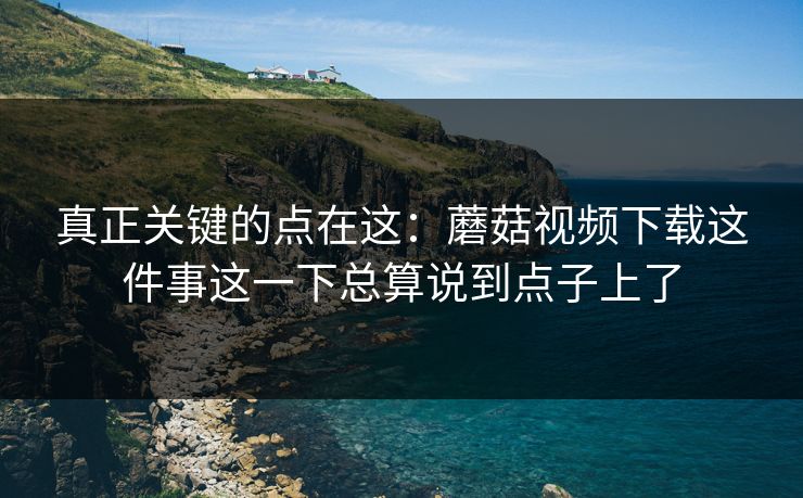真正关键的点在这：蘑菇视频下载这件事这一下总算说到点子上了
