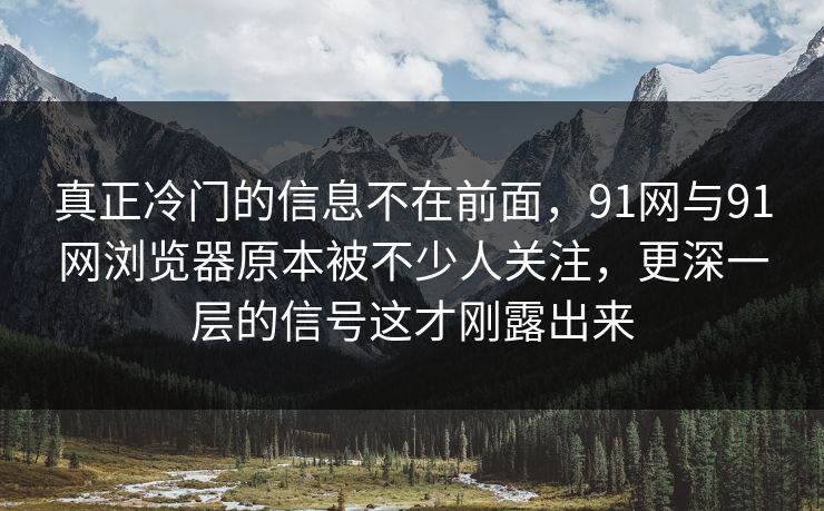 真正冷门的信息不在前面，91网与91网浏览器原本被不少人关注，更深一层的信号这才刚露出来
