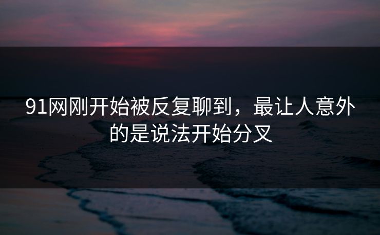 91网刚开始被反复聊到，最让人意外的是说法开始分叉