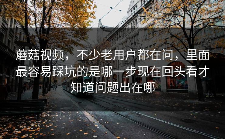 蘑菇视频，不少老用户都在问，里面最容易踩坑的是哪一步现在回头看才知道问题出在哪