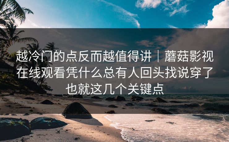 越冷门的点反而越值得讲｜蘑菇影视在线观看凭什么总有人回头找说穿了也就这几个关键点