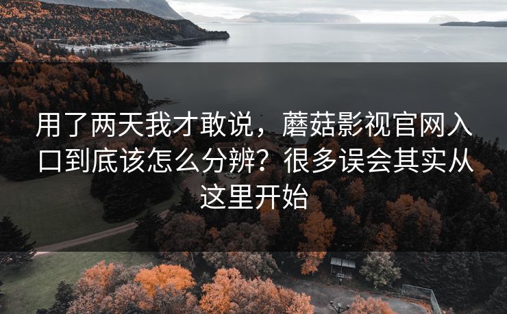 用了两天我才敢说，蘑菇影视官网入口到底该怎么分辨？很多误会其实从这里开始