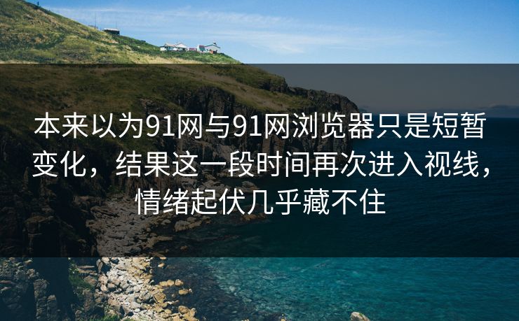 本来以为91网与91网浏览器只是短暂变化，结果这一段时间再次进入视线，情绪起伏几乎藏不住