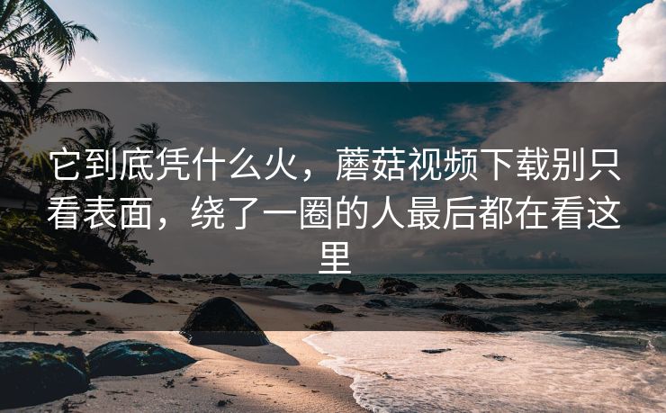 它到底凭什么火,蘑菇视频下载别只看表面,绕了一圈的人最后都在看这里 它到底凭什么火,蘑菇视频下载别只看表面,绕了一圈的人最后都在看这里